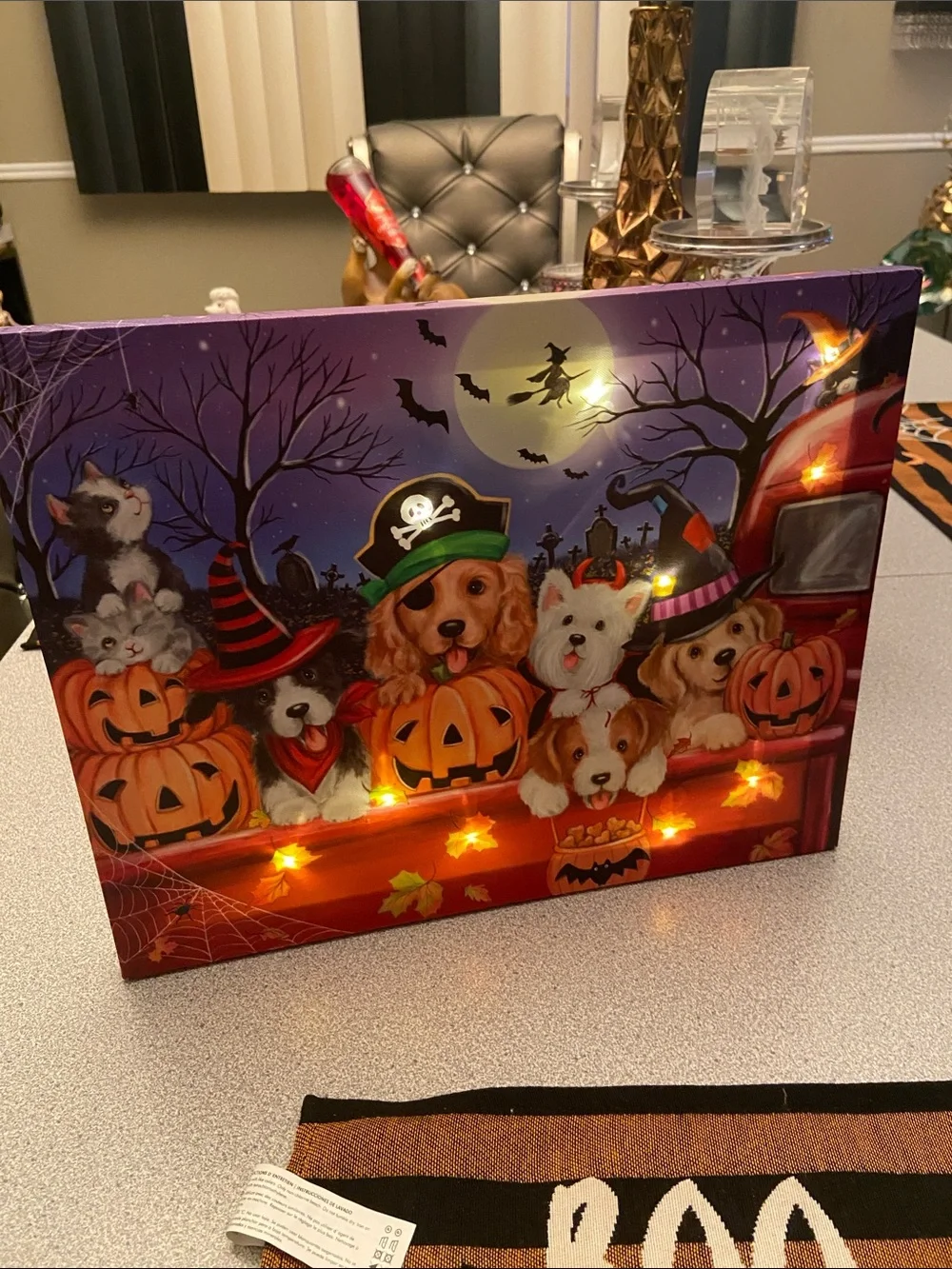 Halloween Pets Decorative Light-Up Canvas - Orange